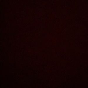 Meet your Posher, Mikayla